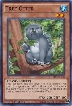Tree Otter