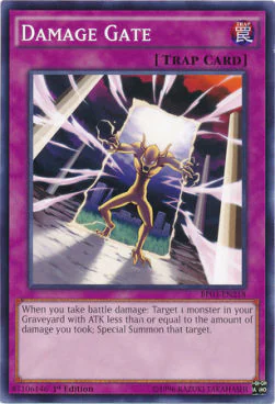 Damage Gate