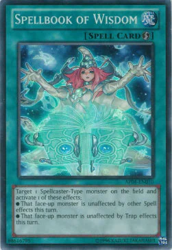 Spellbook of Wisdom