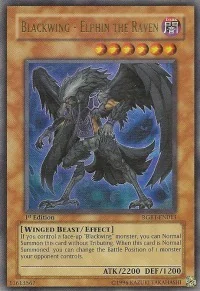 Blackwing - Elphin the Raven
