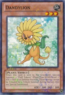 Dandylion