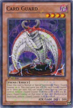 Card Guard