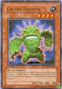 Cactus Fighter