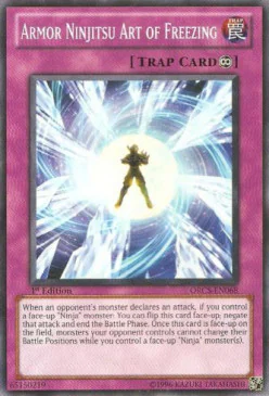 Armor Ninjitsu Art of Freezing