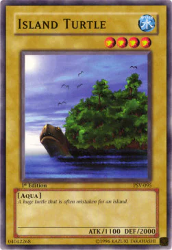 Island Turtle