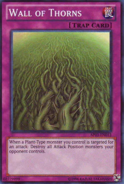 Wall of Thorns