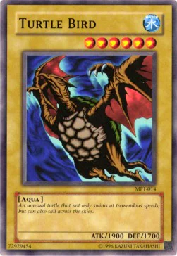 Turtle Bird