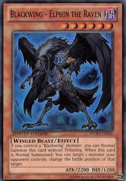 Blackwing - Elphin the Raven